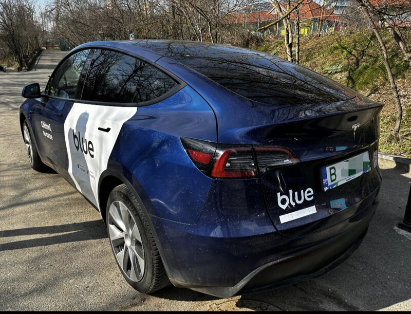 Flota Blue angajeaza soferi